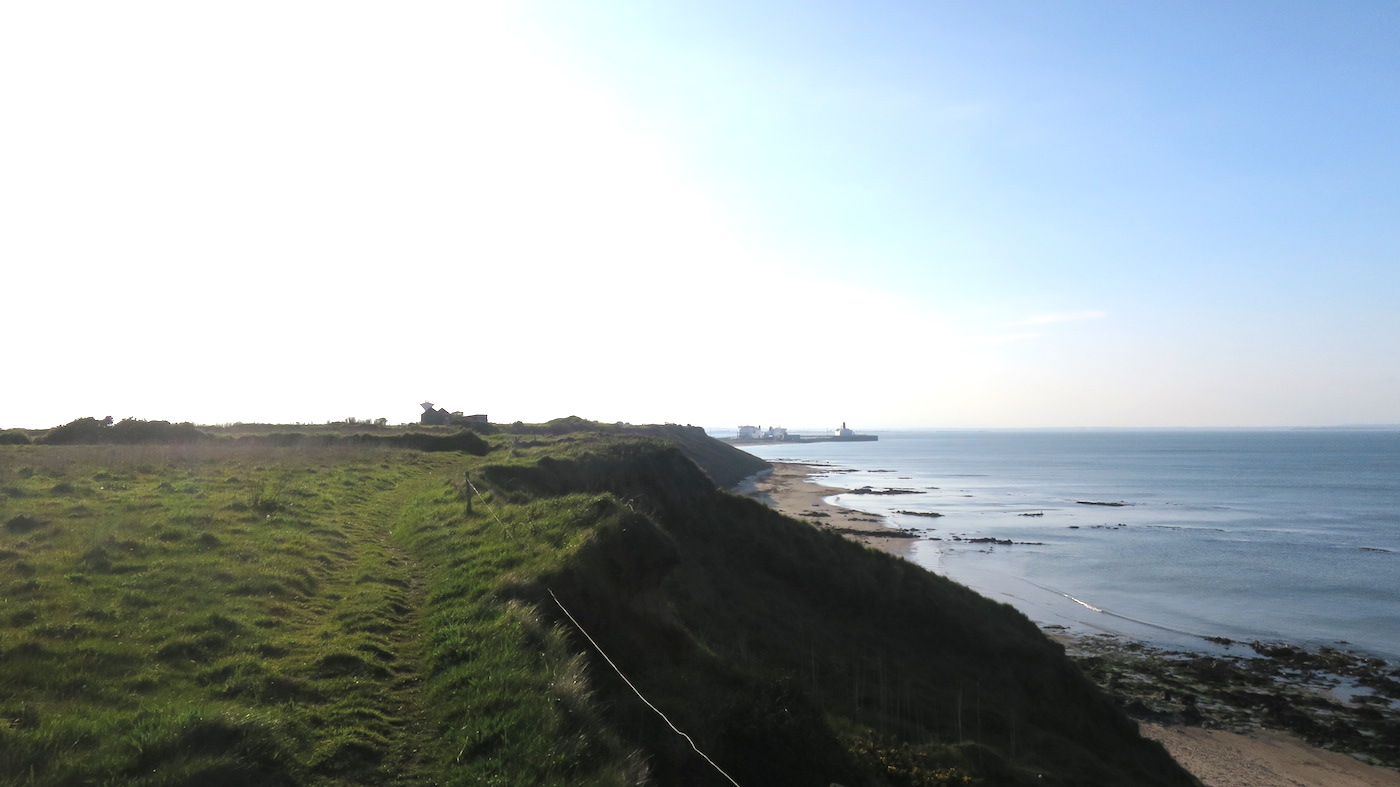 Rosslare Harbour: Ein umwerfender Küstenweg. Sonst nichts.